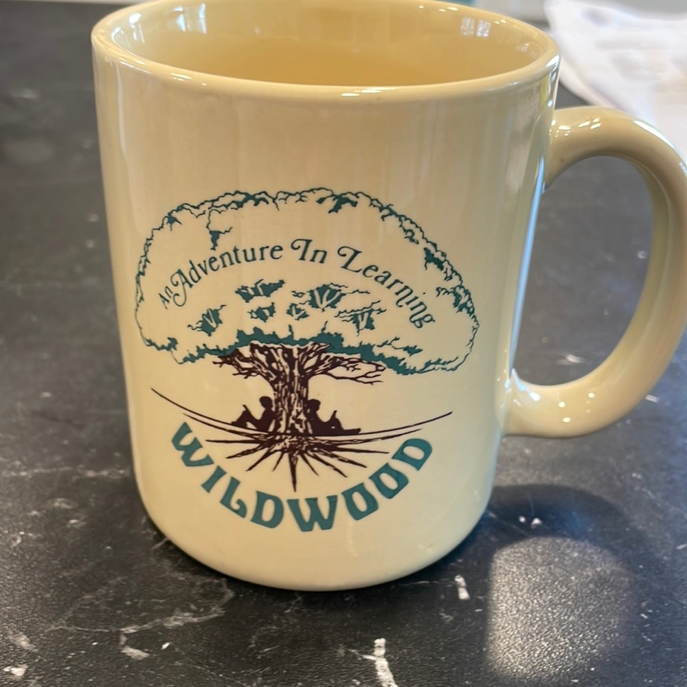 Vintage Wildwood mug (As seen on Queer Eye!)